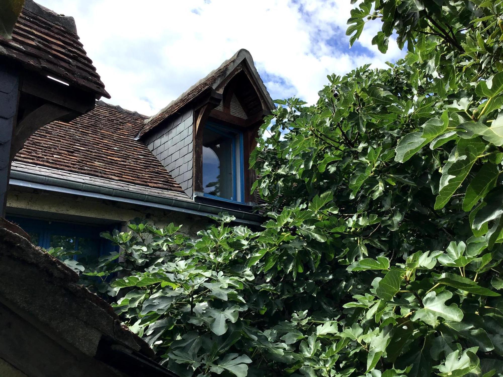La Maison Bleue De Husseau Ancienne Ferme Semi-Troglodytique 18E Siecle Villa Montlouis-sur-Loire Kültér fotó